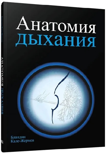 Анатомия дыхания