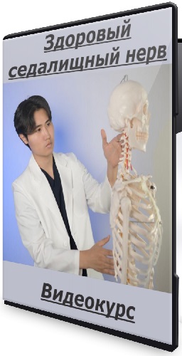 Артем Пак - Здоровый ‌седалищный нерв (2025) Видеокурс