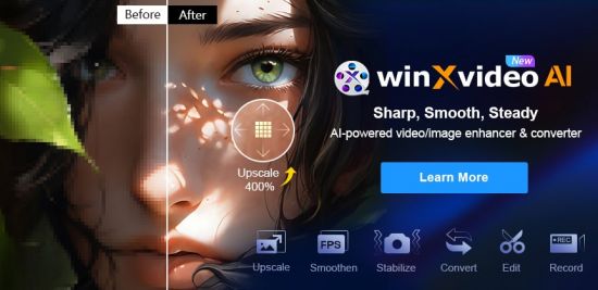 Winxvideo AI 4.4 Multilingual