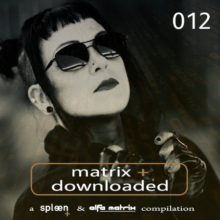 VA - Matrix+Downloaded 012 (2025) [MP3]
