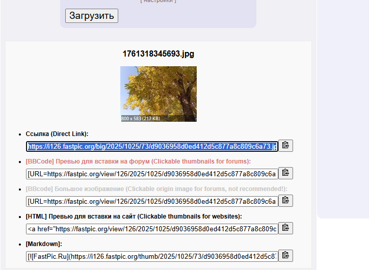 Изображение