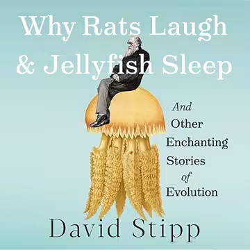 [Image: 3518a8824d6b9ab7e9efb966641259cf.avif]