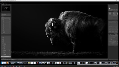 [Image: 364005ee52d7b7b45dceea6cde06aecc.jpg]