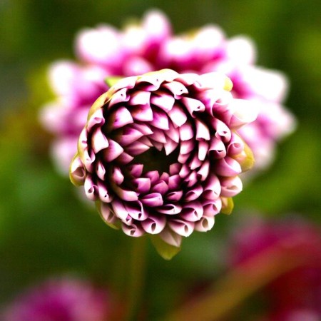 VA - Oblique Strategies (2022) Steven Wilson Remixes) (2015) [FLAC]