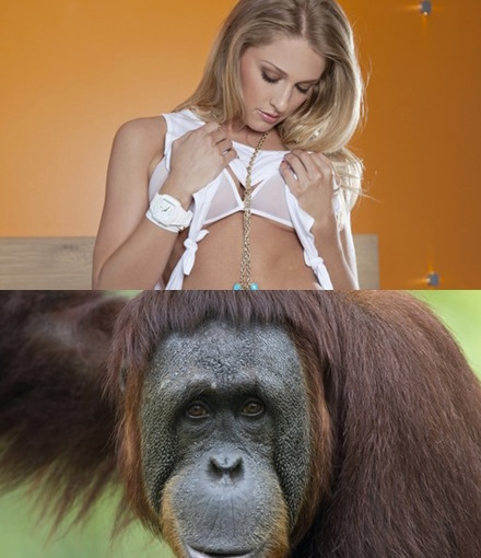 Best Wallpapers Mix Collection 34