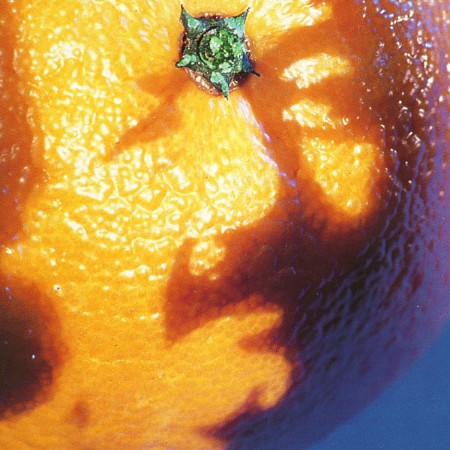 Phish - A Picture of Nectar (1991) [FLAC]