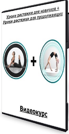 постер к [My Pole Space] Уроки растяжки для новичков + Уроки растяжки для продолжающих (2025) Видеокурс