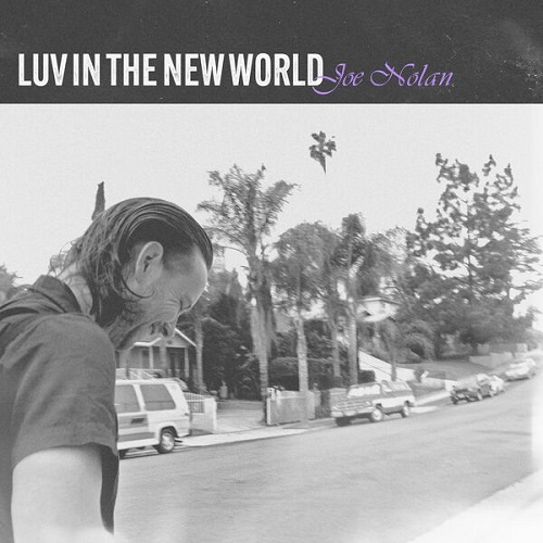 (Indie Folk) Joe Nolan - Luv In The New World -...
