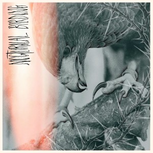 Author & Punisher - Nocturnal Birding (2025)