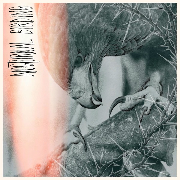 Author & Punisher - Nocturnal Birding (2025)