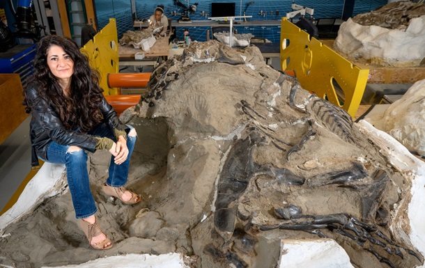 Ученые открыли новый маленький вид тираннозавра