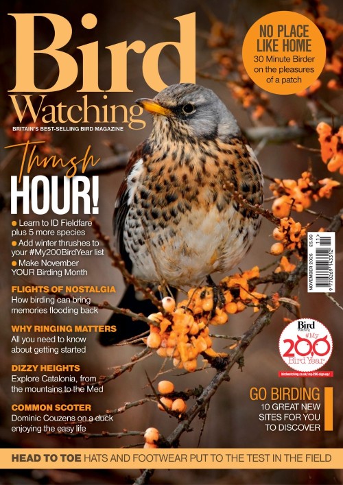 Bird Watching UK - November 2025