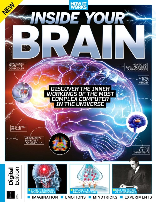 How It Works Inside Your Brain - 6th Edition 2025
