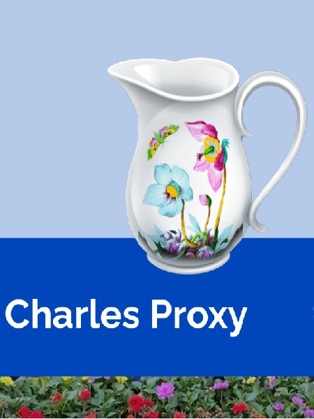 Charles Proxy