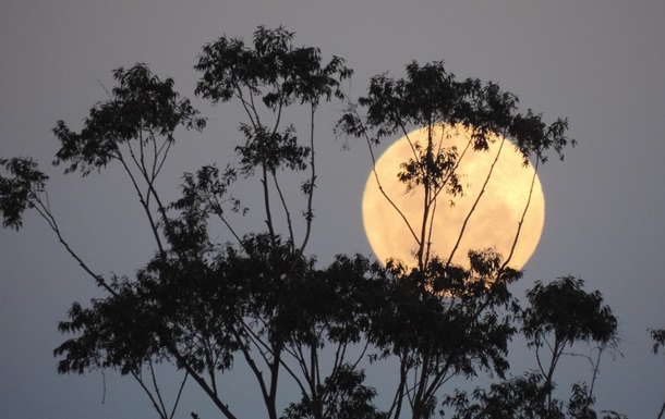 В ночь на 5 ноября небо осветит Бобровая Луна