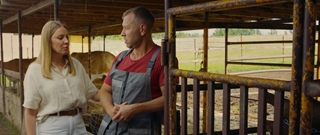  (2025/WEB-DL/WEB-DLRip)