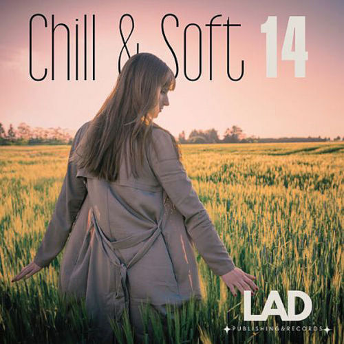 Chill & Soft Vol. 14 (2025)
