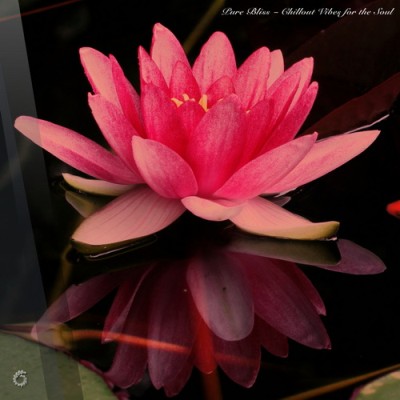 Pure Bliss - Chillout Vibes for the Soul (2025) FLAC