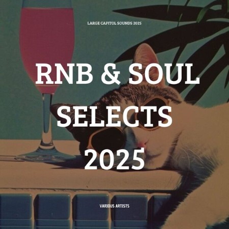 VA - RnB & Soul Selects (2025) (2025) [FLAC]