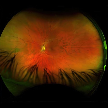 Greg Puciato - Mirrorcell (2022) [MP3]