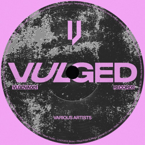  Vulged Records Various Artists 001 (2025) 
