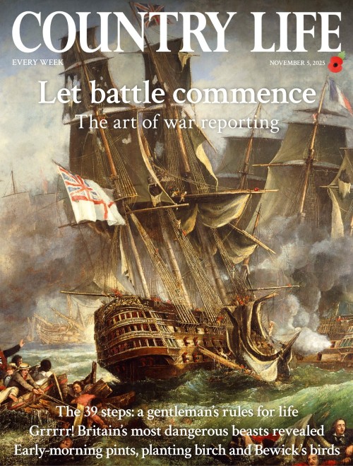 05c61bcc5634e4ca84e41e29005ebe72.jpg