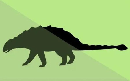 [Image: ec5e942be5bbc67c74675685105f8fca.jpg]