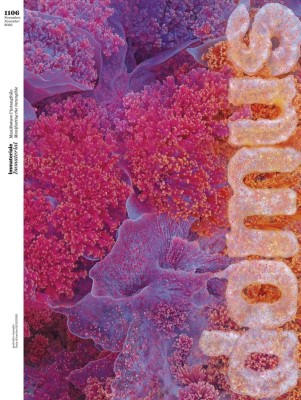 Domus Italia - Novembre 2025