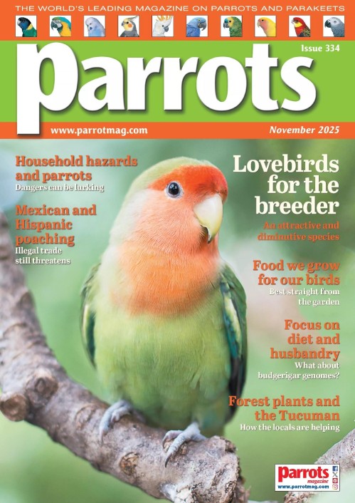 Parrots Magazine - November 2025