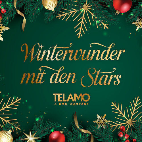 Winterwunder mit den Stars (2025)