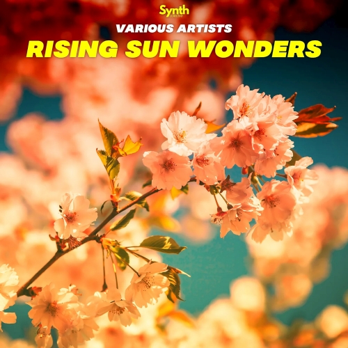 Rising Sun Wonders: Synth Collective Records (2025)