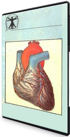 постер к Антон Захаров - Что физиологи знают про еду? (5 лекций) (2025) WEBRip