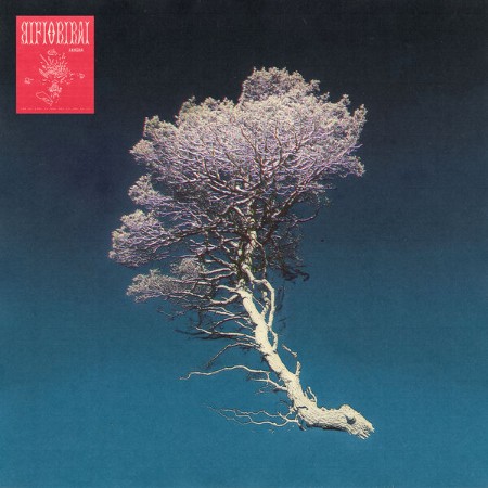 Aka5ha - Rifiorirai (2025) [FLAC]