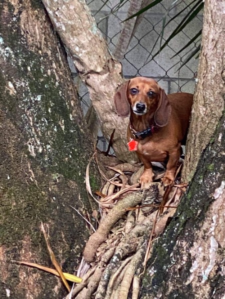 [Image: 893a8ffe28bfb24fa639948470874b52.jpg]