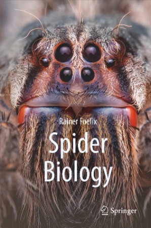 [Image: 951571a10f809860fefdda486c56cf12.jpg]