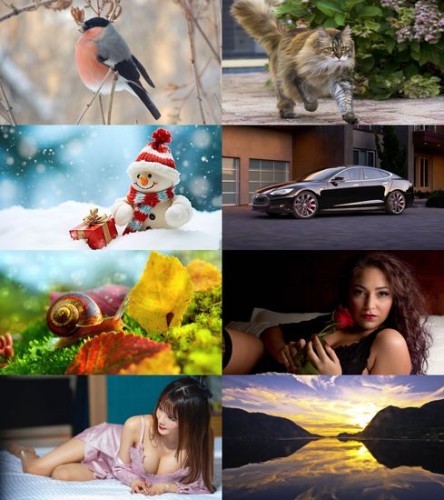 Wallpapers Mix №1982