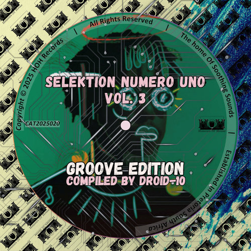 Selektion Numero Uno, Vol. 3 (Groove Edition)