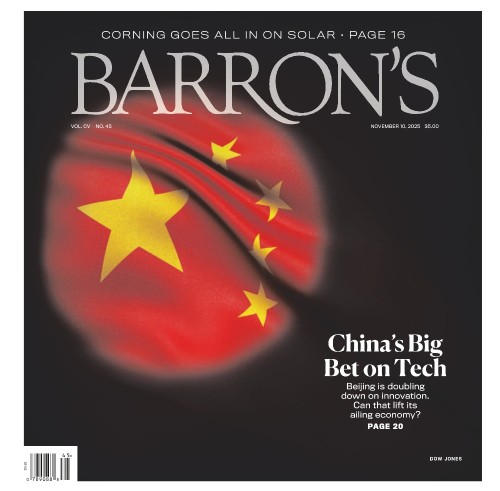 Barron's - November 10, 2025