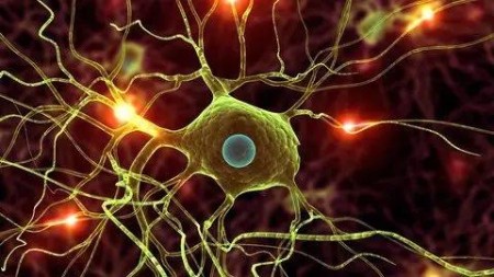 [Image: 20036ec74adb281da776b7c8468e383c.jpg]