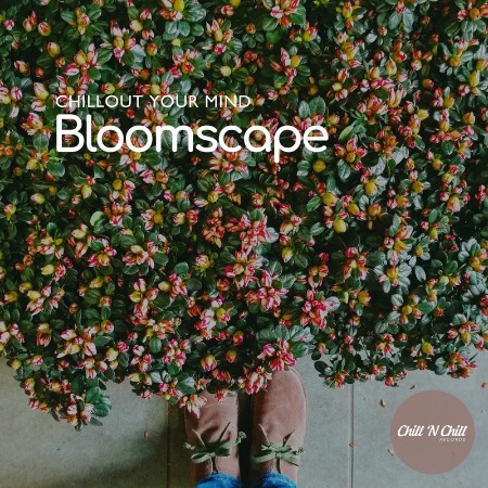 VA - Bloomscape: Chillout Your Mind (2025) [MP3]