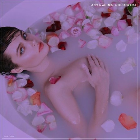 VA - A Spa & Wellness Chill Experience (2025) [MP3]