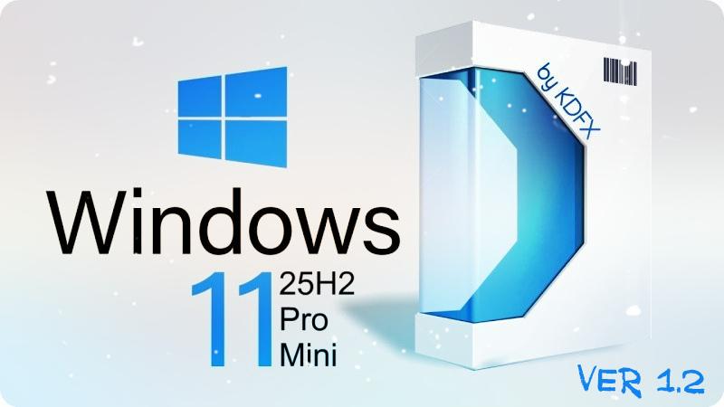 Windows 11 25H2 Pro