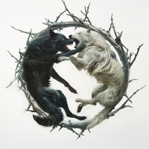 Stellar Circuits - Phantom : : Phoenix (2025)