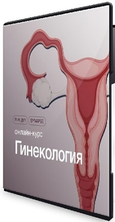постер к [Synapse] Гинекология (2025) Видеокурс