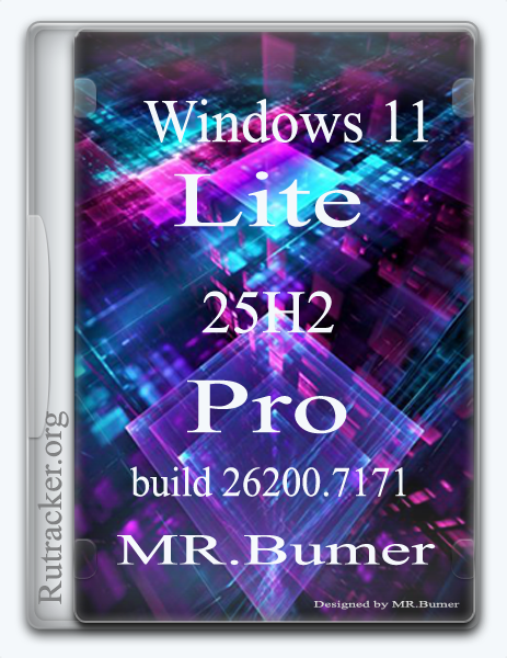 Windows 11 Pro 25H2 Lite