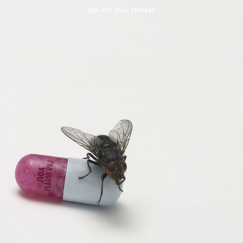 Red Hot Chili Peppers - I'm with You (2011) [Lossless+MP3]