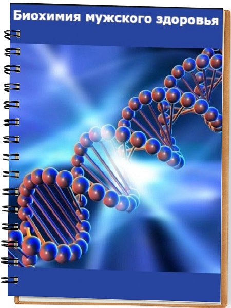 Биохимия мужского здоровья
