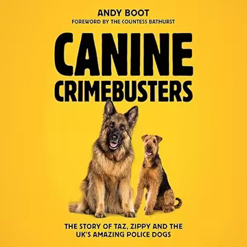 [Image: ed56e67b7891515c4723555e2231db36.avif]