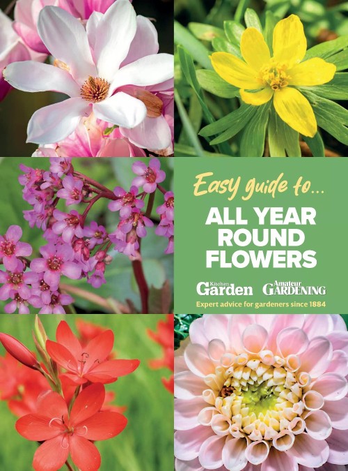 Amateur Gardening Easy Guide To - All Year Round Flowers 2025
