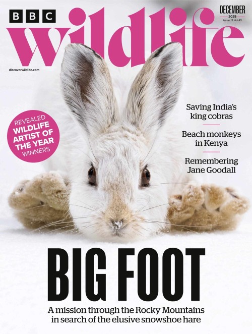 BBC Wildlife Magazine - December 2025